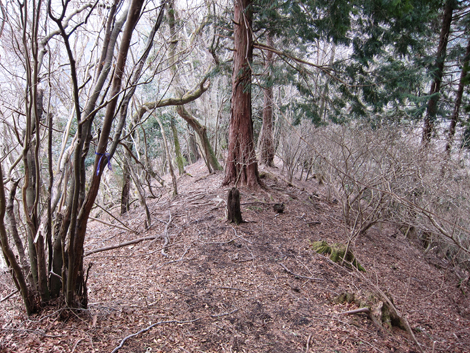 20190205hike (233)